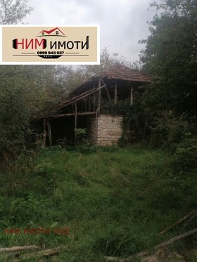 ����� ������� ������,�. ������, ������ �����