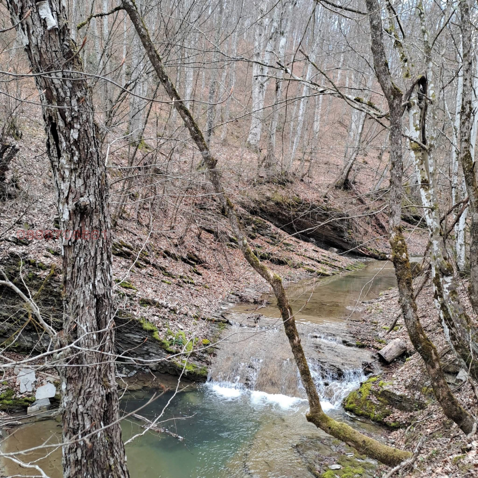 Продава ПАРЦЕЛ, с. Голям извор, област Ловеч, снимка 8 - Парцели - 54235957