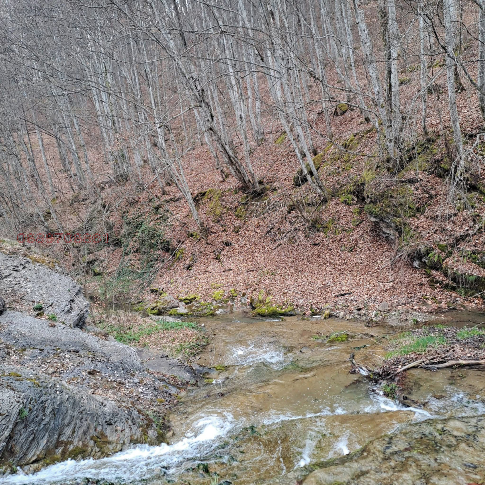 Продава ПАРЦЕЛ, с. Голям извор, област Ловеч, снимка 4 - Парцели - 54235957