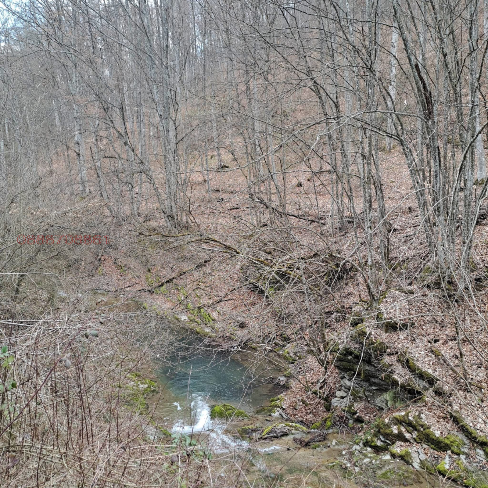 Продава ПАРЦЕЛ, с. Голям извор, област Ловеч, снимка 6 - Парцели - 54235957