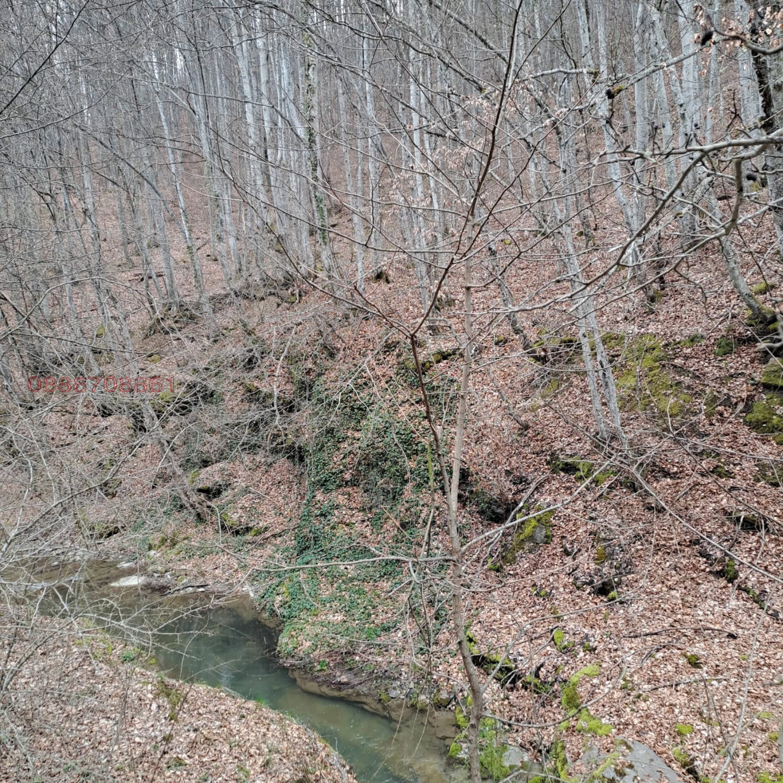 Продава ПАРЦЕЛ, с. Голям извор, област Ловеч, снимка 5 - Парцели - 54235957