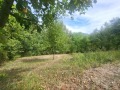 Продава КЪЩА, област Ловеч, с. Балабанско • 49900 € • 85373294 — Holmes.bg