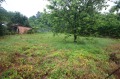 Продава КЪЩА, област Габрово, с. Царева ливада • 50000 € • 59269189 — Holmes.bg