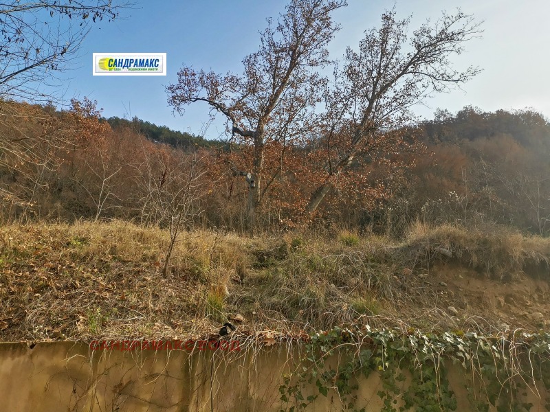 Продава ПАРЦЕЛ в област Благоевград, гр. Сандански - 916 кв.м / 55 000 € » 107 570.65 лв., САНДРАМАКС ЕООД