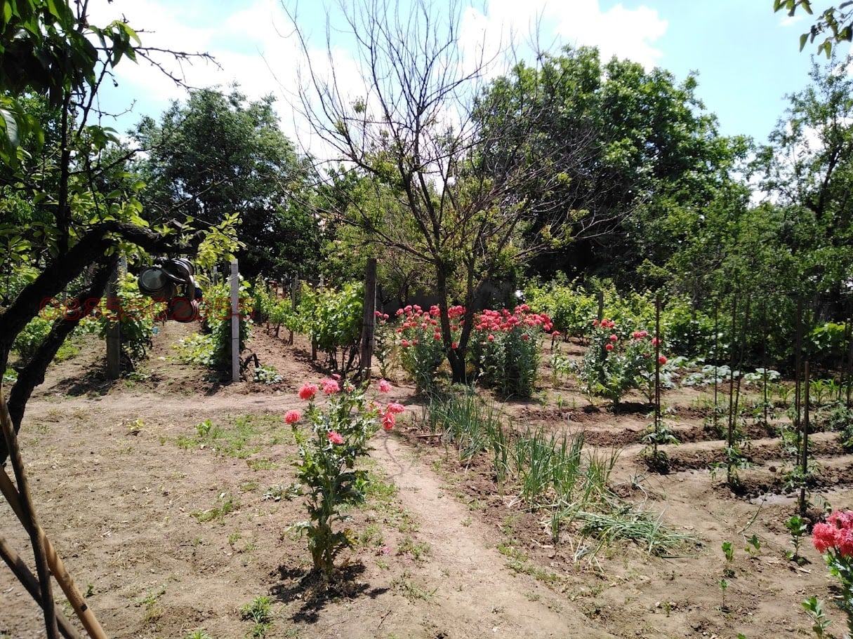 ������� ������ | Imot.bg � ����������� 4