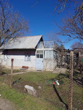 ����� ������� ������,���� ����, �.�. ��������