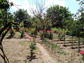 ������� ������ | Imot.bg � ����� ������ 4