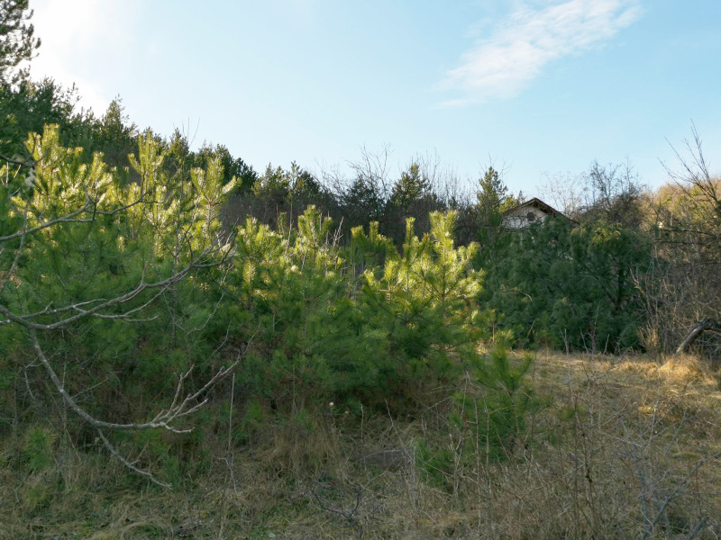 Na prodej  Vila oblast Sofia , Rebrovo , 30 m2 | 59779124 - obraz [9]
