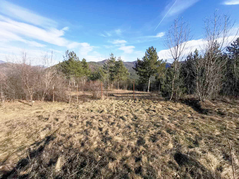 Na prodej  Vila oblast Sofia , Rebrovo , 30 m2 | 59779124 - obraz [8]
