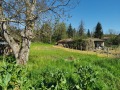 Продава ПАРЦЕЛ, с. Коиловци, област Плевен, снимка 2