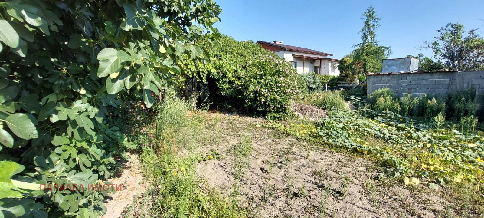 Продава КЪЩА, с. Ляхово, област Пазарджик, снимка 15 - Къщи - 55631740