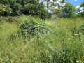 Продава ПАРЦЕЛ, град Варна, м-т Боровец - юг • 35000 € • 70270885 — Holmes.bg