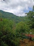 Продава ПАРЦЕЛ, област София, с. Луково • 20000 € • 24087966 — Holmes.bg