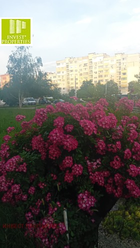 ������� 3-����� | Imot.bg � ����� ������ 2