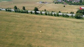 ����� ������� ������,�. ��������, ������ �����