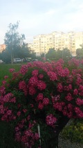 Продава 3-СТАЕН, гр. София, Люлин 5, снимка 2