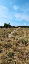 Продава ПАРЦЕЛ, с. Бенковски, област Варна, снимка 11