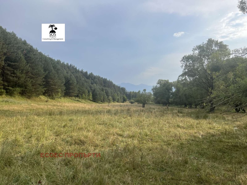 ПАРЦЕЛ