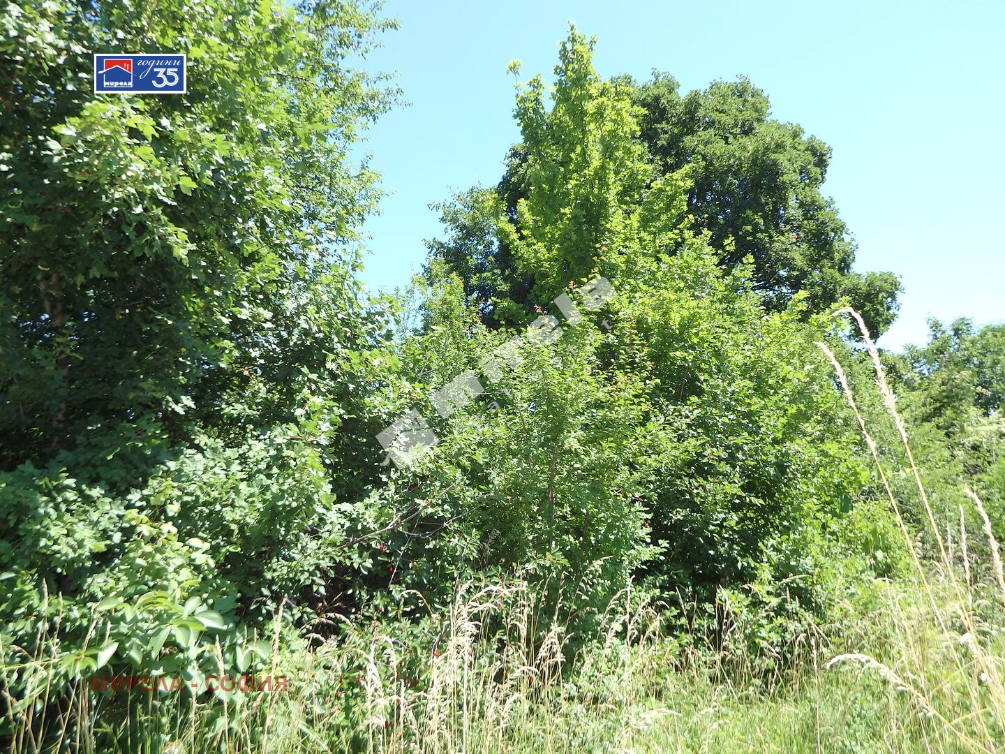 ������� ������ | Imot.bg � ����������� 1