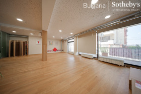 Office Boyana, Sofia 1