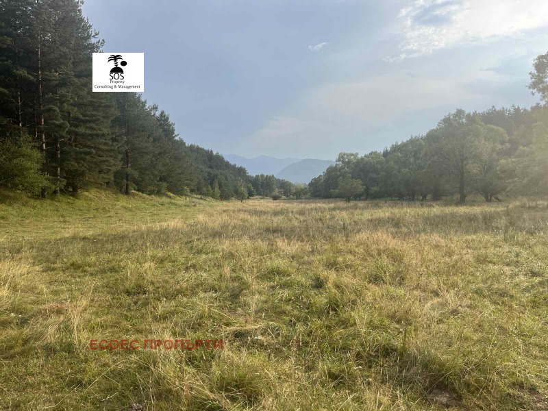 For Sale  Plot region Sofia , Samokov , 9880 sq.m | 99228032 - image [2]