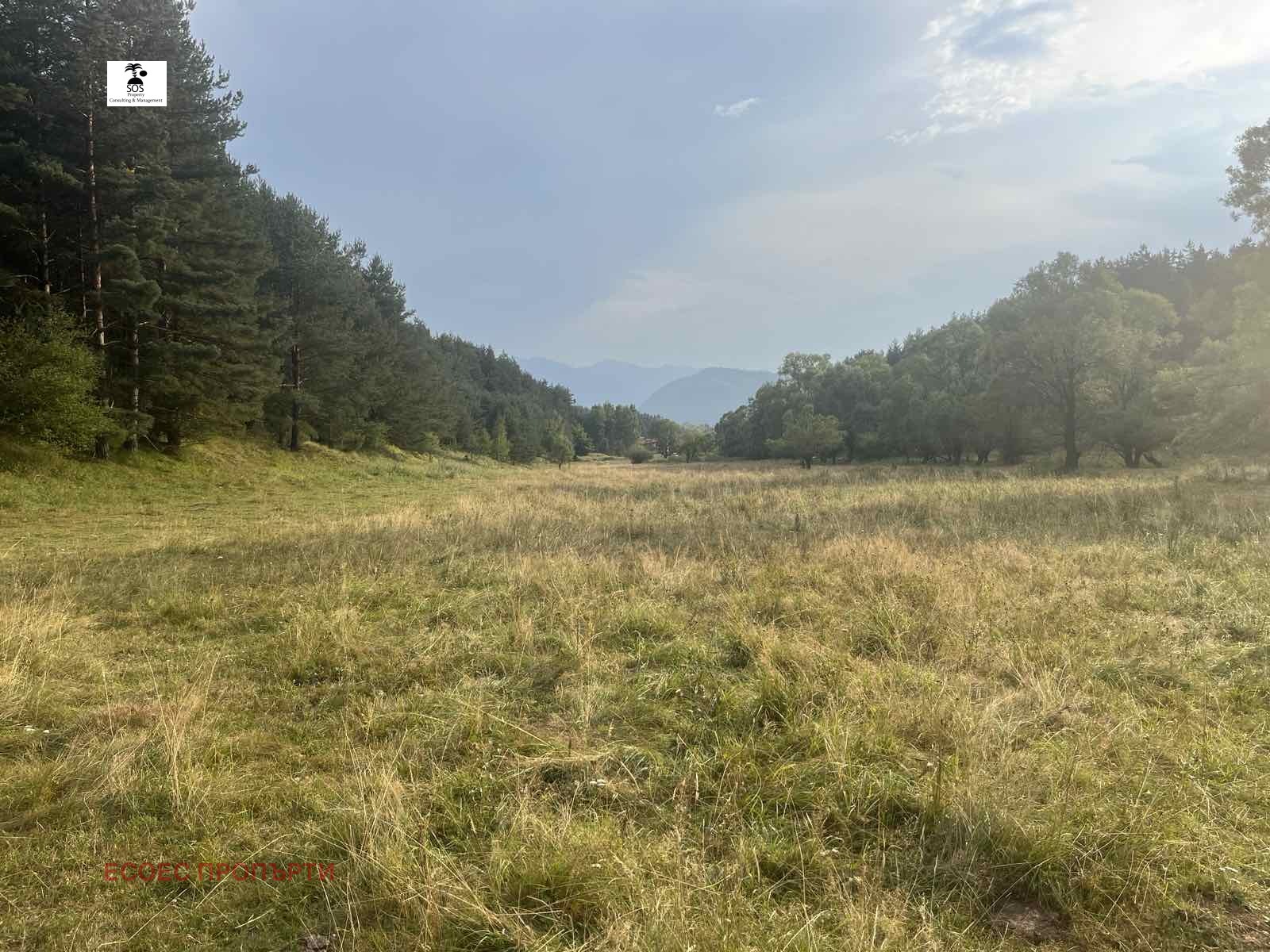 Продава ПАРЦЕЛ, гр. Самоков, област София област, снимка 2 - Парцели - 55974194