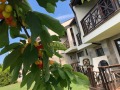 Продава 2-СТАЕН, област Бургас, с. Кошарица • 70000 € / 136908.10 лв. • 94174180 16