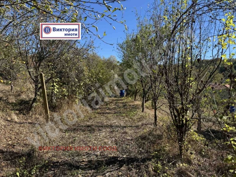Продава ПАРЦЕЛ в област Велико Търново, с. Габровци - 2358 кв.м / 51 130 € » 100 001.59 лв., ВИКТОРИЯ ИМОТИ ЕООД