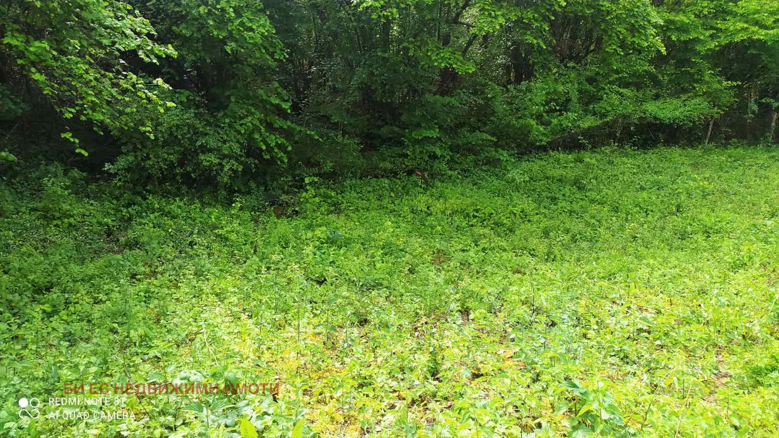 ������� ���� | Imot.bg � ����������� 6