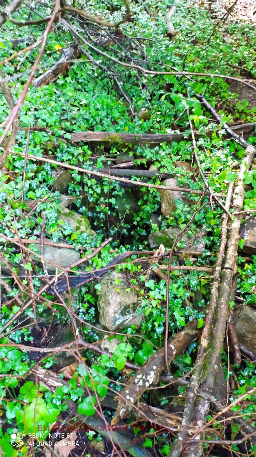 ������� ���� | Imot.bg � ����������� 8