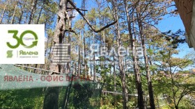 ����� ������� 2-�����,���� �����, ������