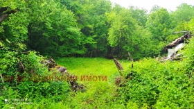 ������� ���� | Imot.bg � ����� ������ 4