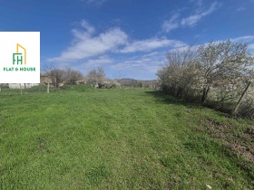 ����� ������� ������,�. ������, ������ �����