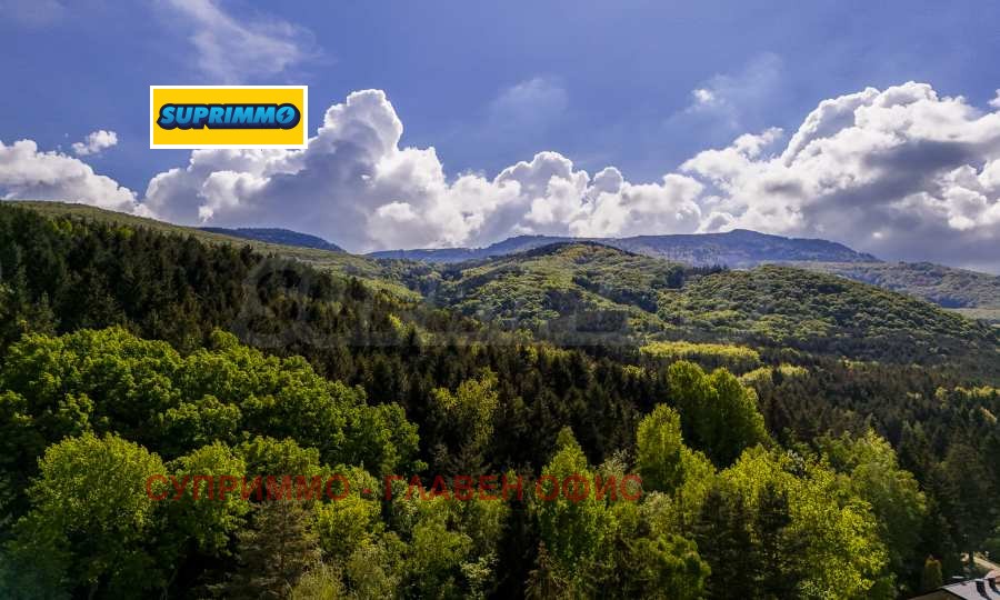 Продава КЪЩА, гр. София, Симеоново, снимка 13 - Къщи - 56273045