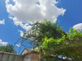Продава ГАРАЖ, ПАРКОМЯСТО, гр. Ямбол, Каргон, снимка 11