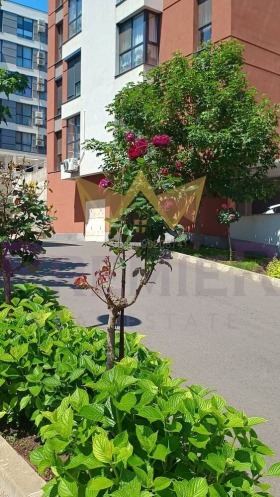  2- | Imot.bg    9