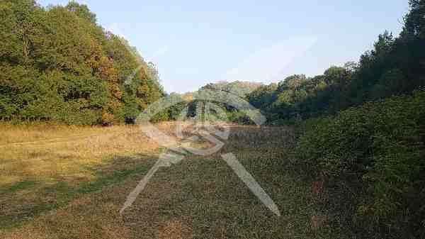 Продава ЗЕМЕДЕЛСКА ЗЕМЯ, гр. Приморско, област Бургас, снимка 2 - Земеделска земя - 53916304