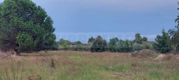 ������� ������ | Imot.bg � ����������� 10