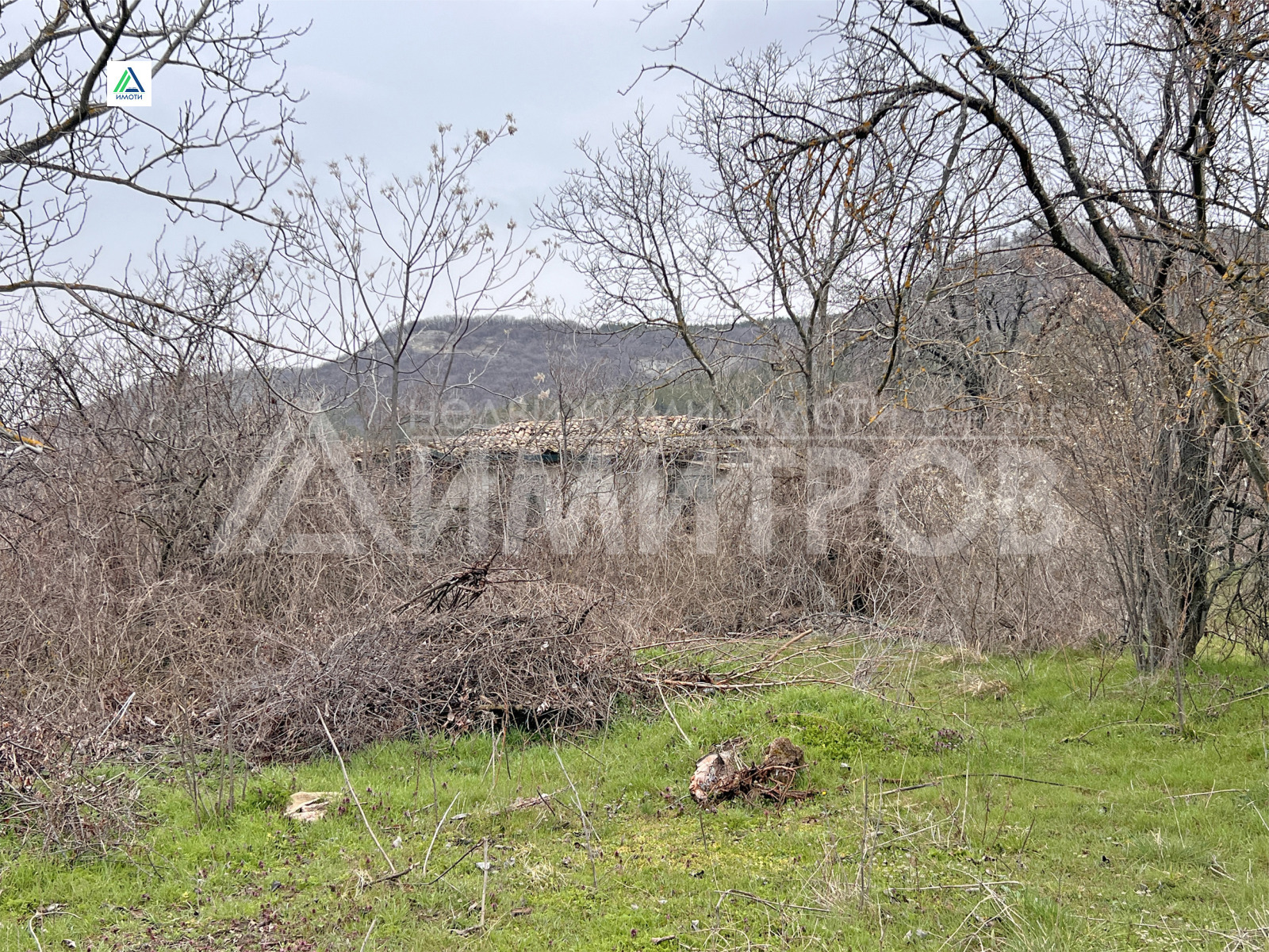 ������� ������ | Imot.bg � ����������� 8