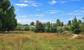 ������� ������ | Imot.bg � ����� ������ 8