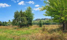 ������� ������ | Imot.bg � ����� ������ 11