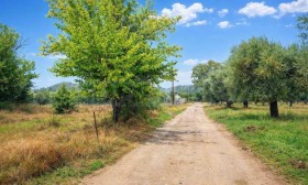 ������� ������ | Imot.bg � ����� ������ 7