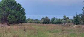 ������� ������ | Imot.bg � ����� ������ 10