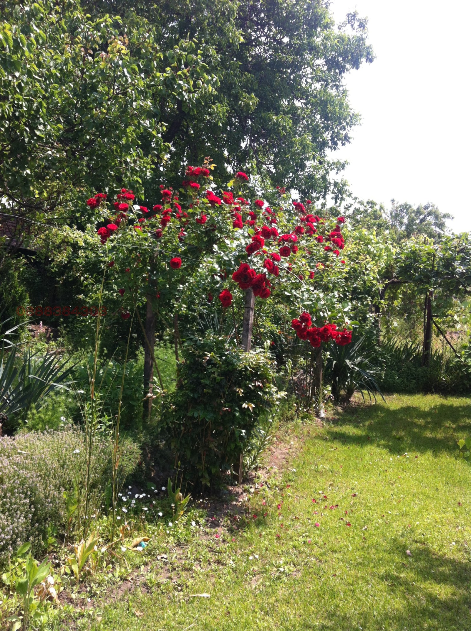 ������� ���� | Imot.bg � ����������� 2