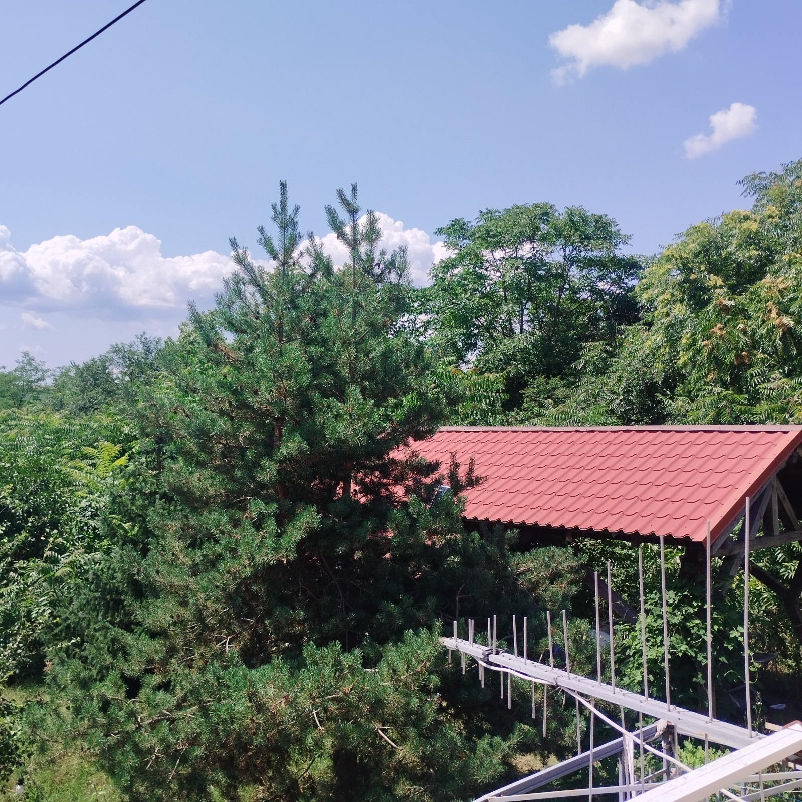 ������� ���� | Imot.bg � ����������� 12