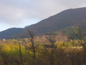 Dom Malak izwor, region Łowecz 4