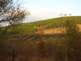 House Malak izvor, region Lovech 1