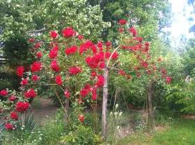 ������� ���� | Imot.bg � ����� ������ 4