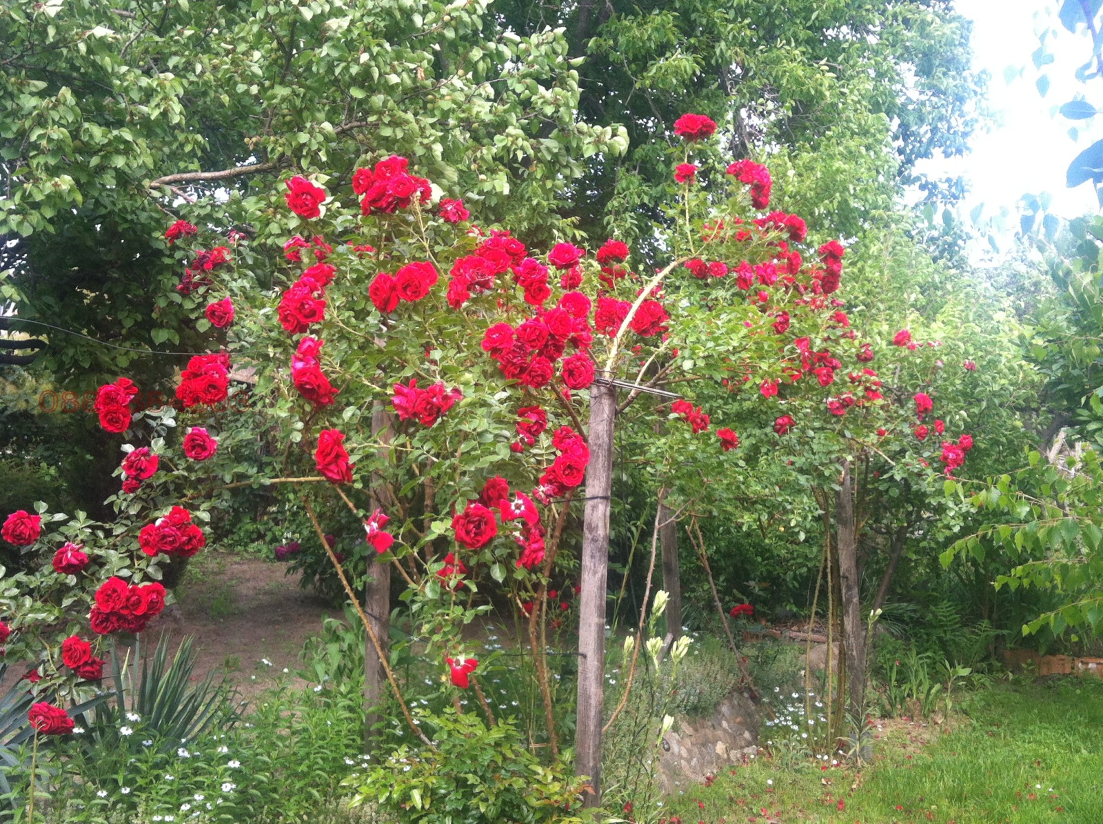 Продава КЪЩА, гр. Козлодуй, област Враца, снимка 3 - Къщи - 53732372