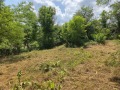 Продава ПАРЦЕЛ, област Велико Търново, с. Велчево • 36000 лв. • 17016834 — Holmes.bg